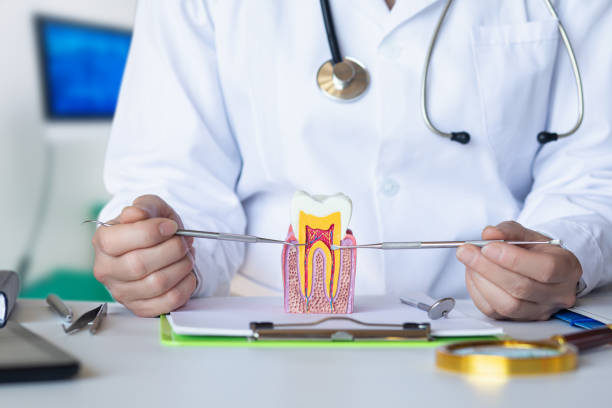 Best Cracked Tooth Emergency Dentist  in Blue Mound, IL